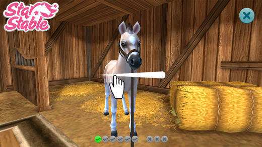 install star stable